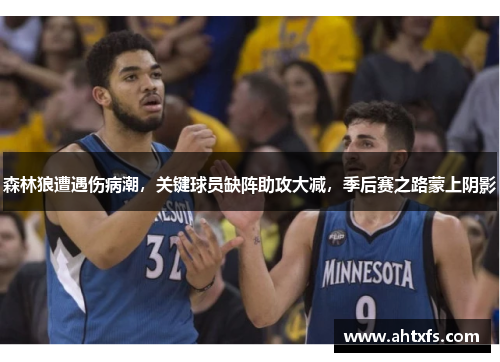 森林狼遭遇伤病潮，关键球员缺阵助攻大减，季后赛之路蒙上阴影